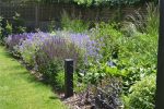thumb of Herbaceous border with salvias, lavender and grasses