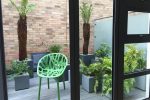 thumb of The shady terrace has ferns and a single chair